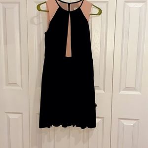 NWT Loft Petite Dress